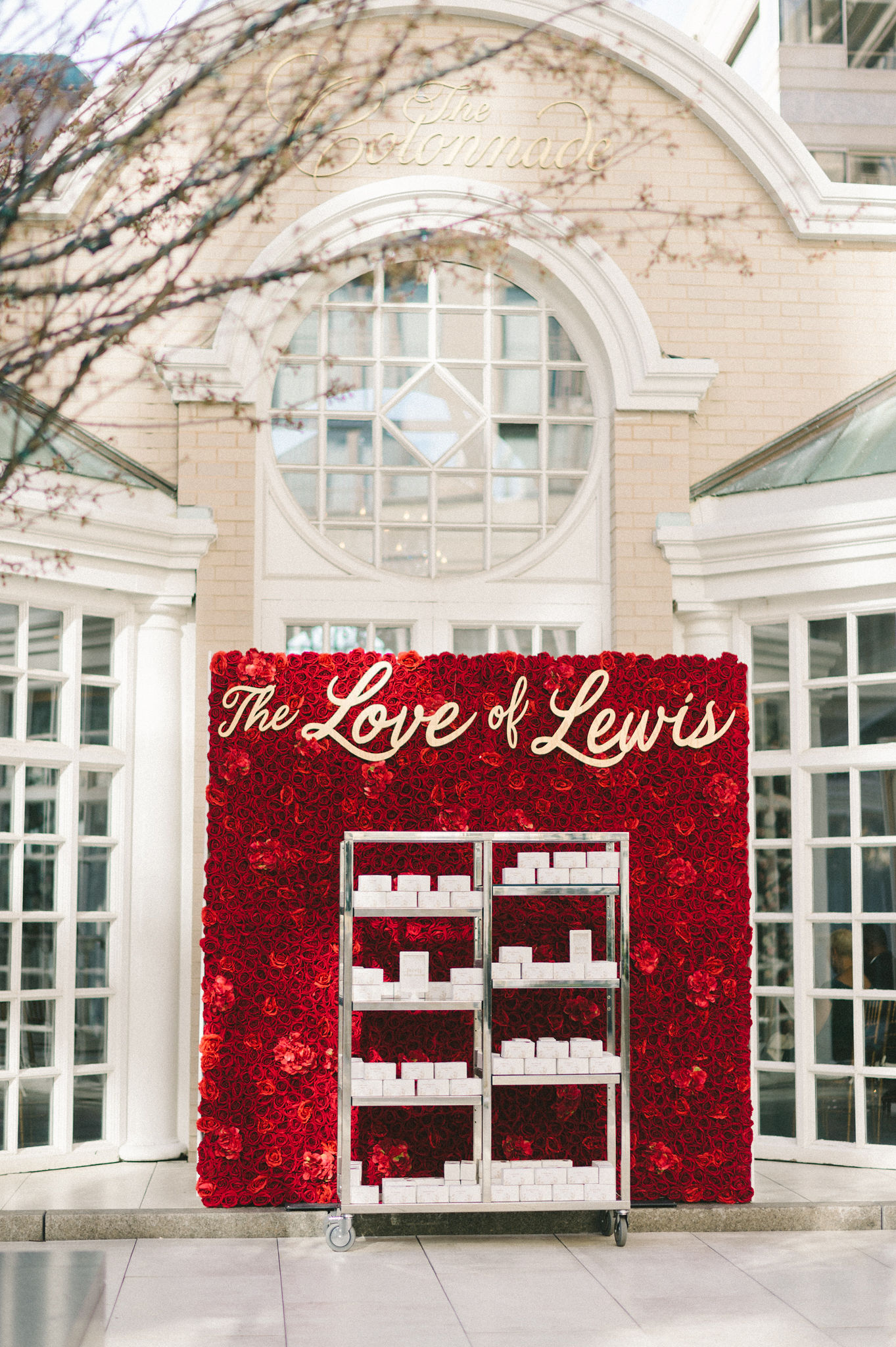 ElizabethFogarty-128 glamorous-dc-wedding