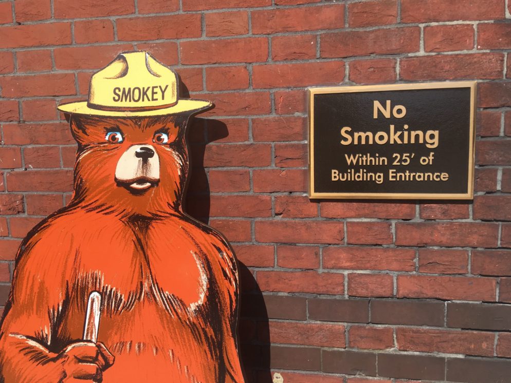 There’s an Exhibit Dedicated to Smokey Bear in Southwest DC Washingtonian