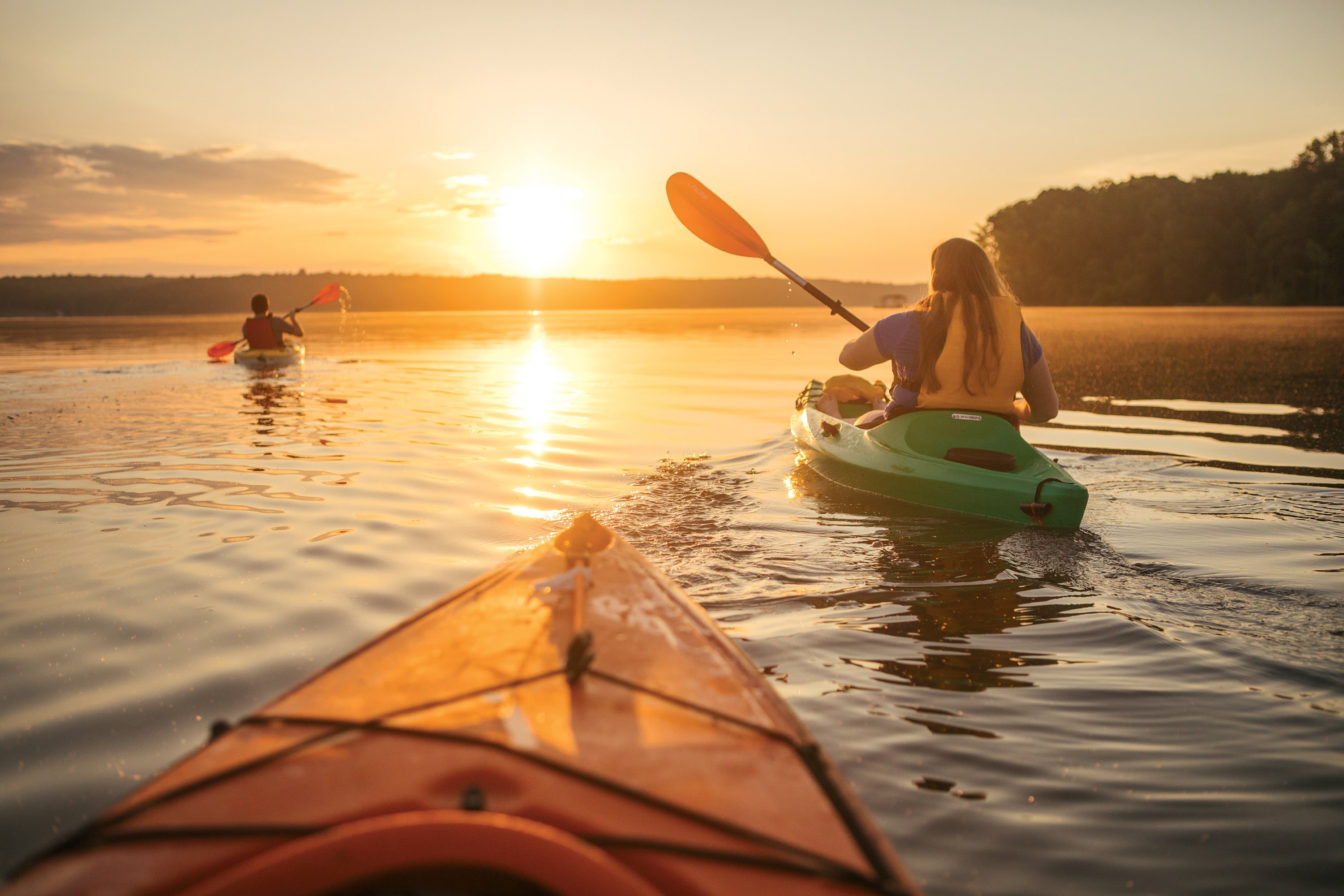 John H. Kerr Reservoir, three and a half hours away, has hidden coves to explore. Photograph by Sam Dean/Virginia Tourism Corporation.