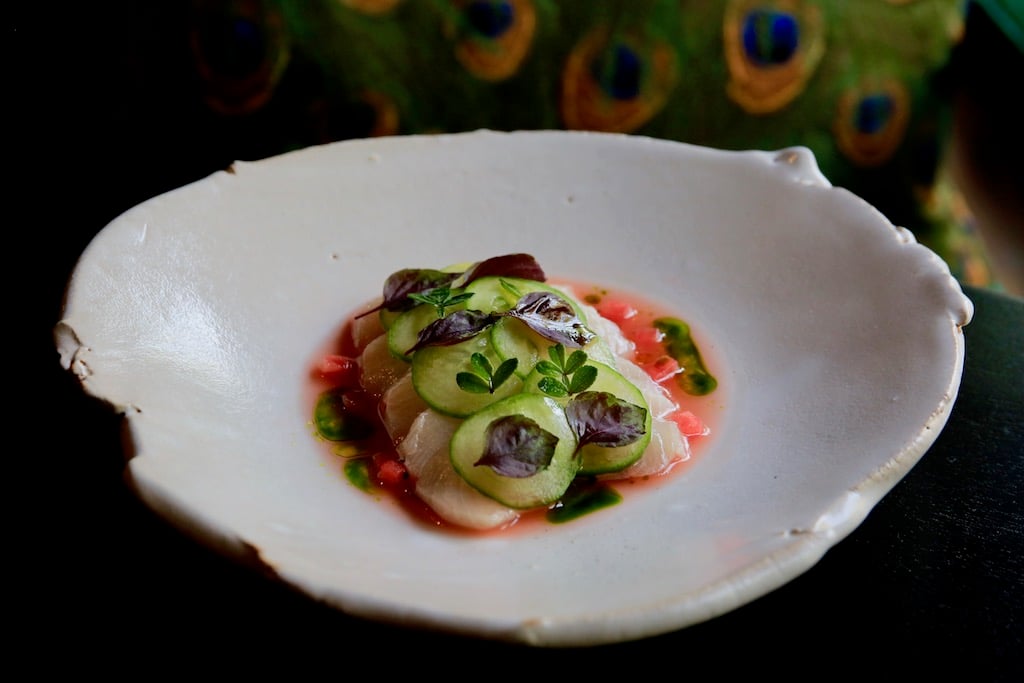 cut.fish - Washingtonian