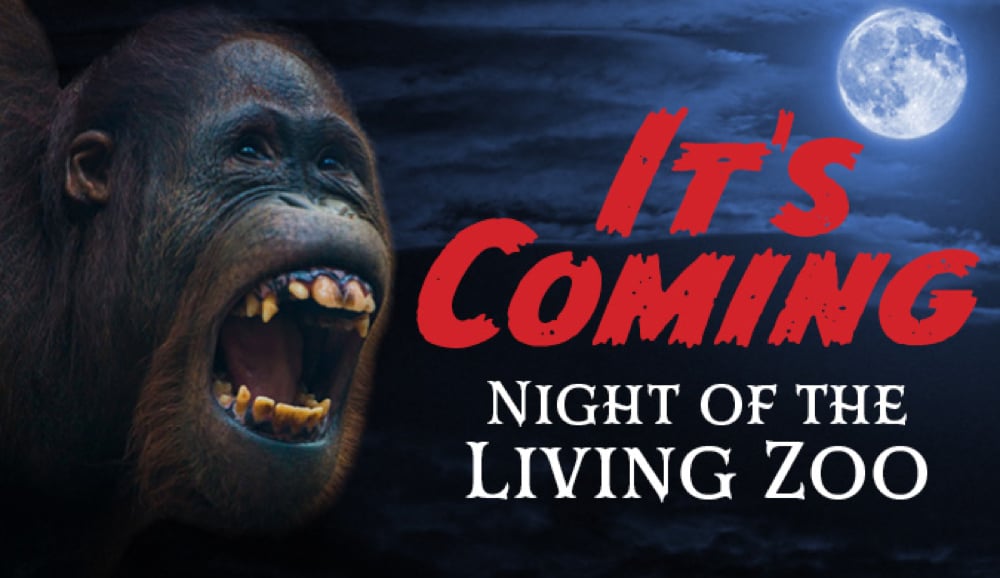 Night of the Living Zoo 