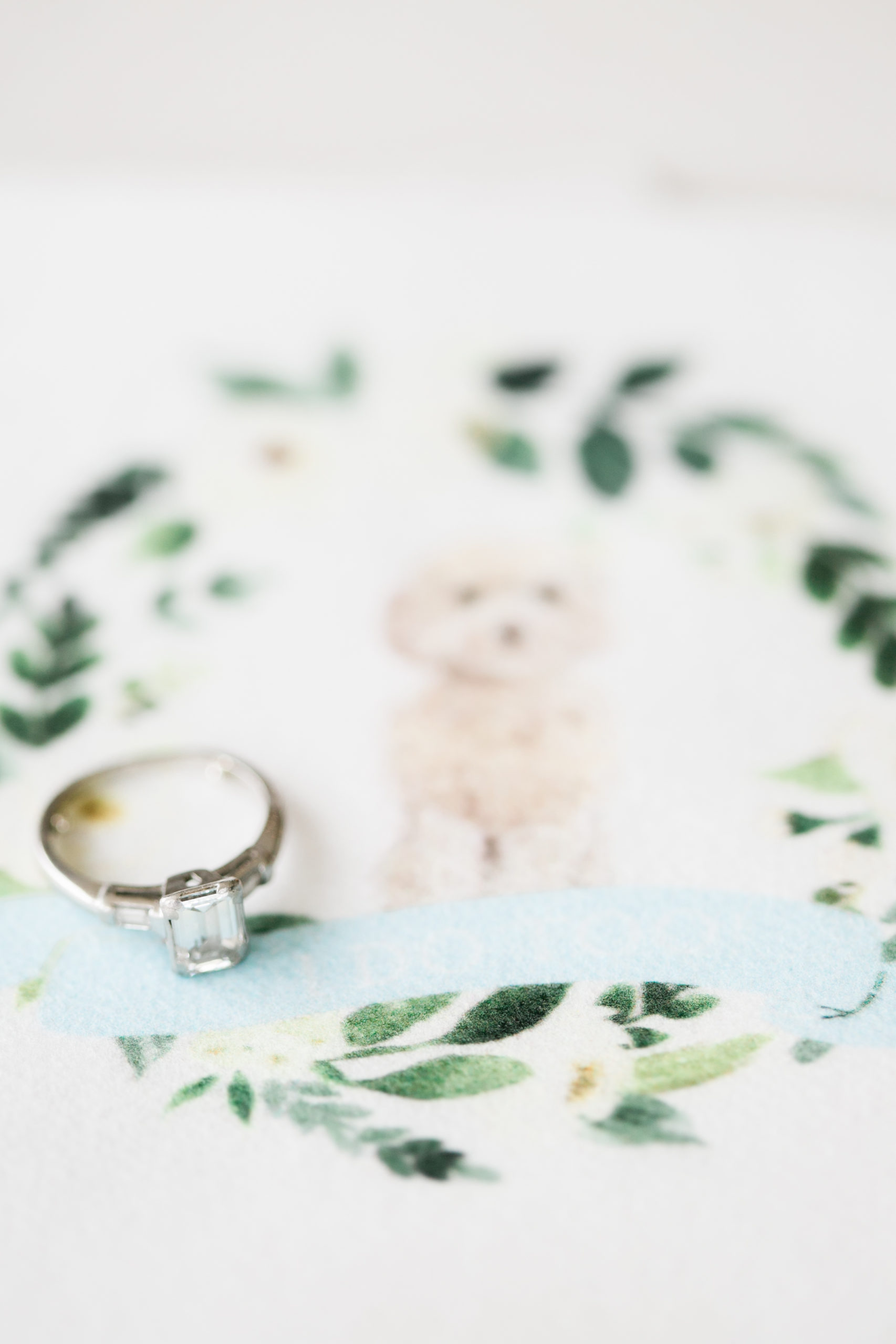 21Chesney_Travis_Intercontinental_Hote_DC_Wharf_Wedding_AstridPhotographyAP_04743 21Chesney_Travis_Intercontinental_Hote_DC_Wharf_Wedding_AstridPhotographyAP_04743