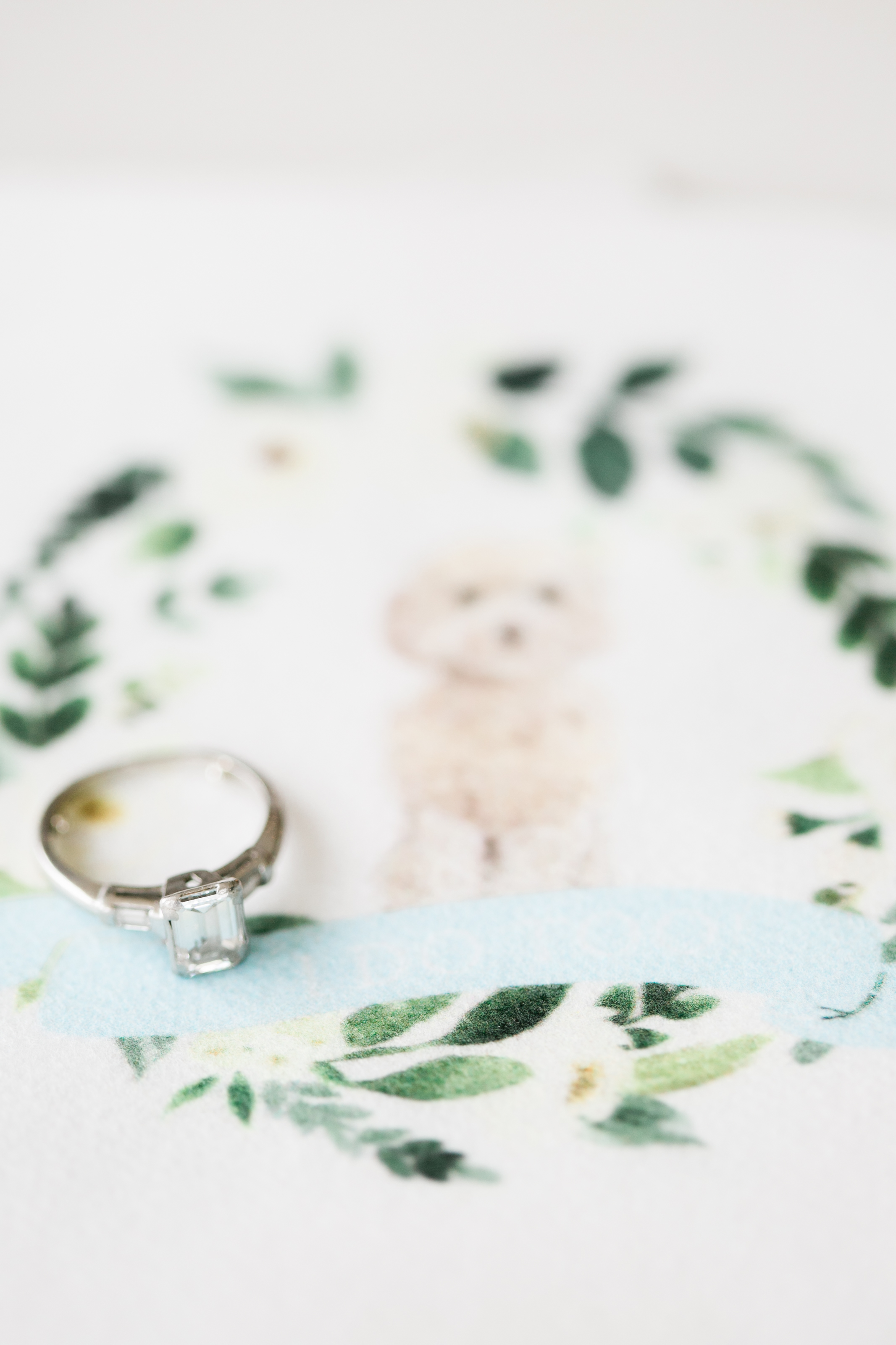 21Chesney_Travis_Intercontinental_Hote_DC_Wharf_Wedding_AstridPhotographyAP_04743 21Chesney_Travis_Intercontinental_Hote_DC_Wharf_Wedding_AstridPhotographyAP_04743
