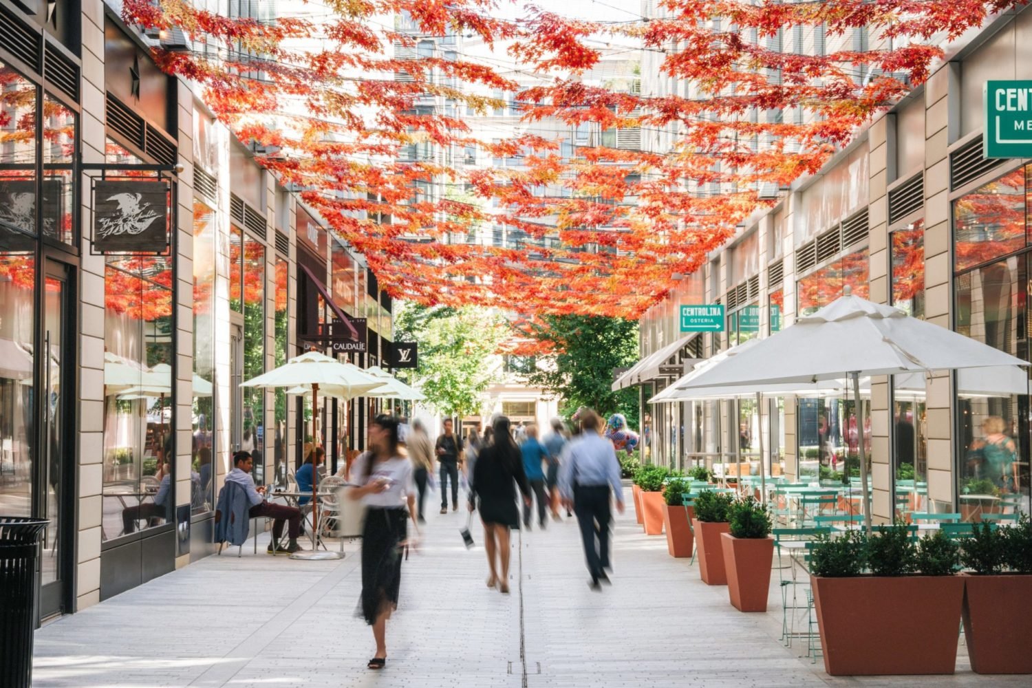 Five Reasons Why Visiting CityCenterDC Should Be at the Top of Your Fall To-Do List