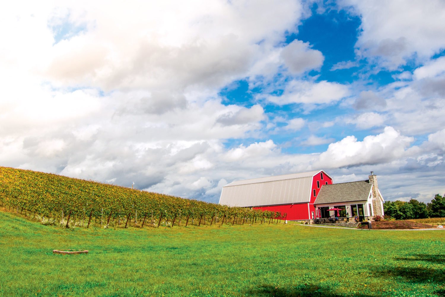 wineries near dc