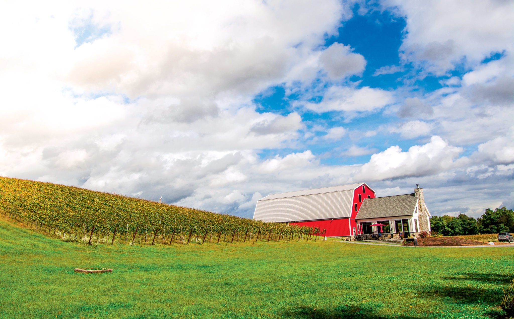 wineries near dc