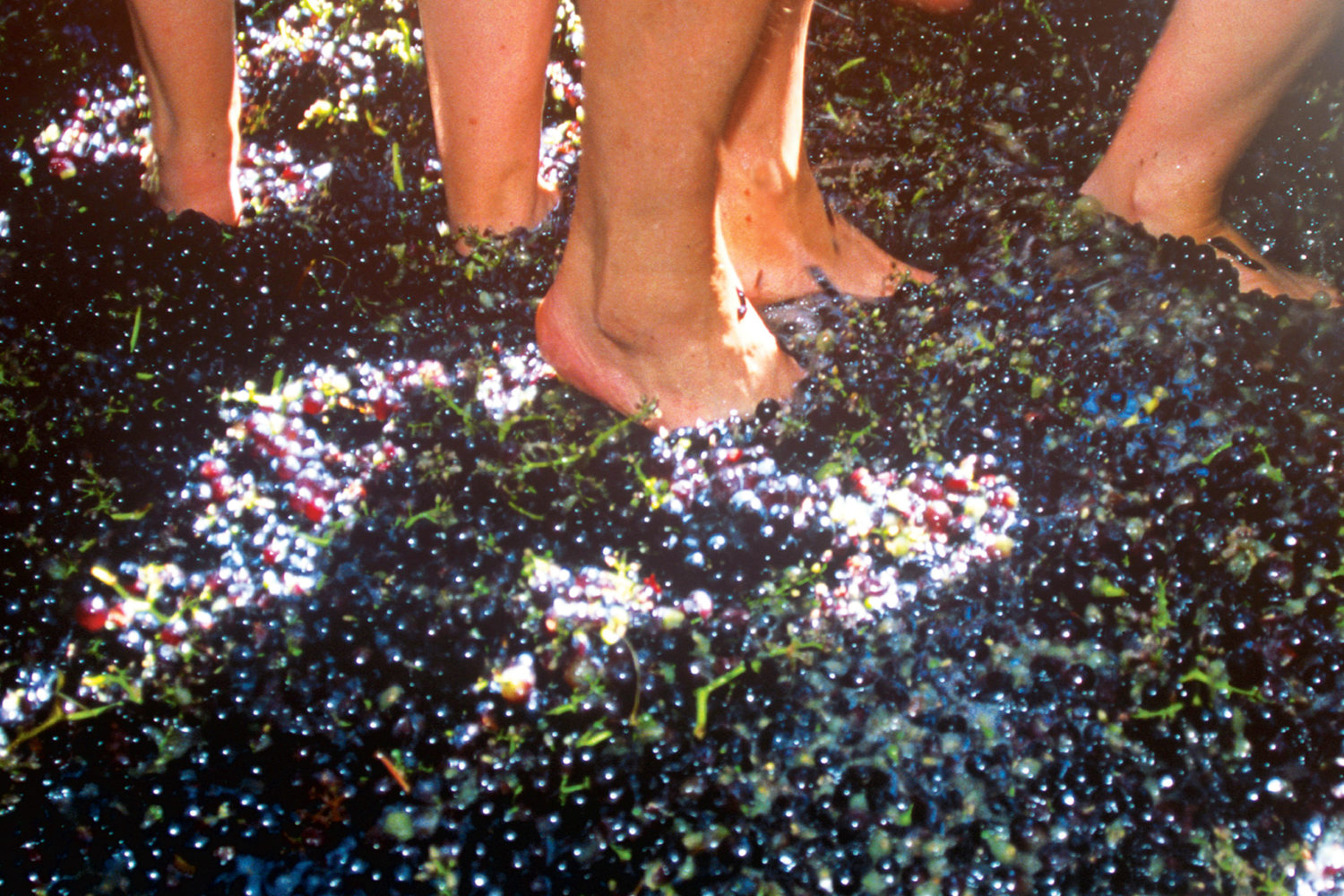 Stomping grounds: Fall wine fests. Photograph Courtesy of Prisma by Dukas Presseagentur/Alamy.