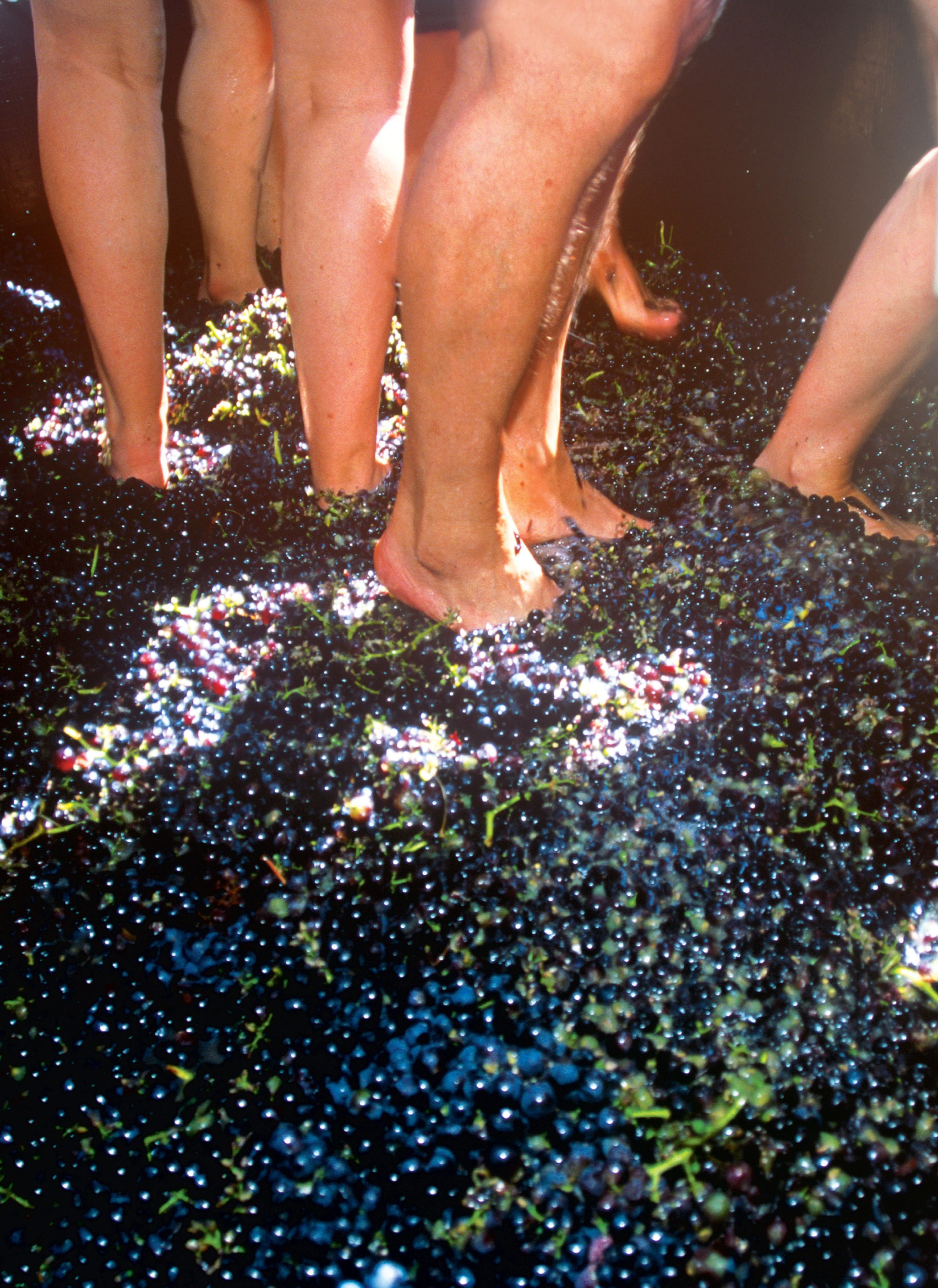 Stomping grounds: Fall wine fests. Photograph Courtesy of Prisma by Dukas Presseagentur/Alamy.