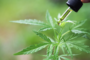 We Tried Some CBD Treatments at DC-Area Spas—Here’s What We Thought