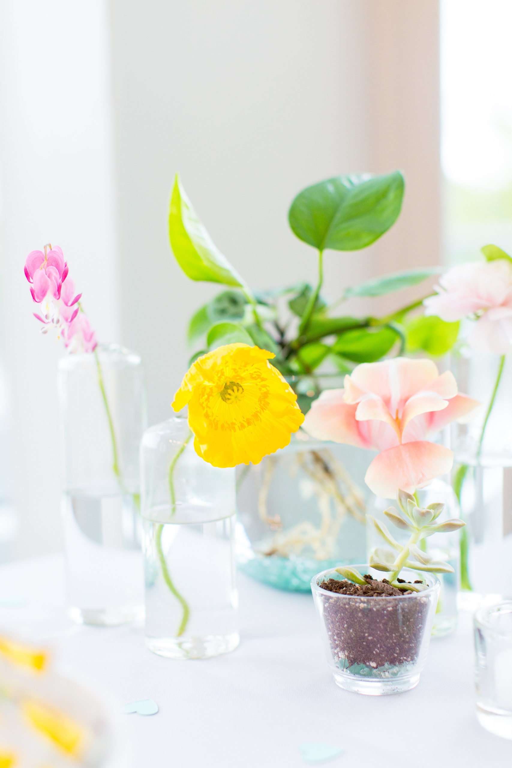 View More: https://taylorrose.pass.us/ethical-wedding-with-beta-fish-centerpieces