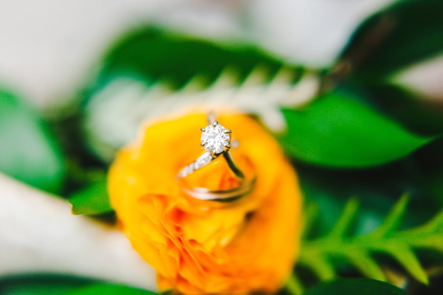 View More: https://katherineelizabethphotography.pass.us/62219-ellen-and-trevor