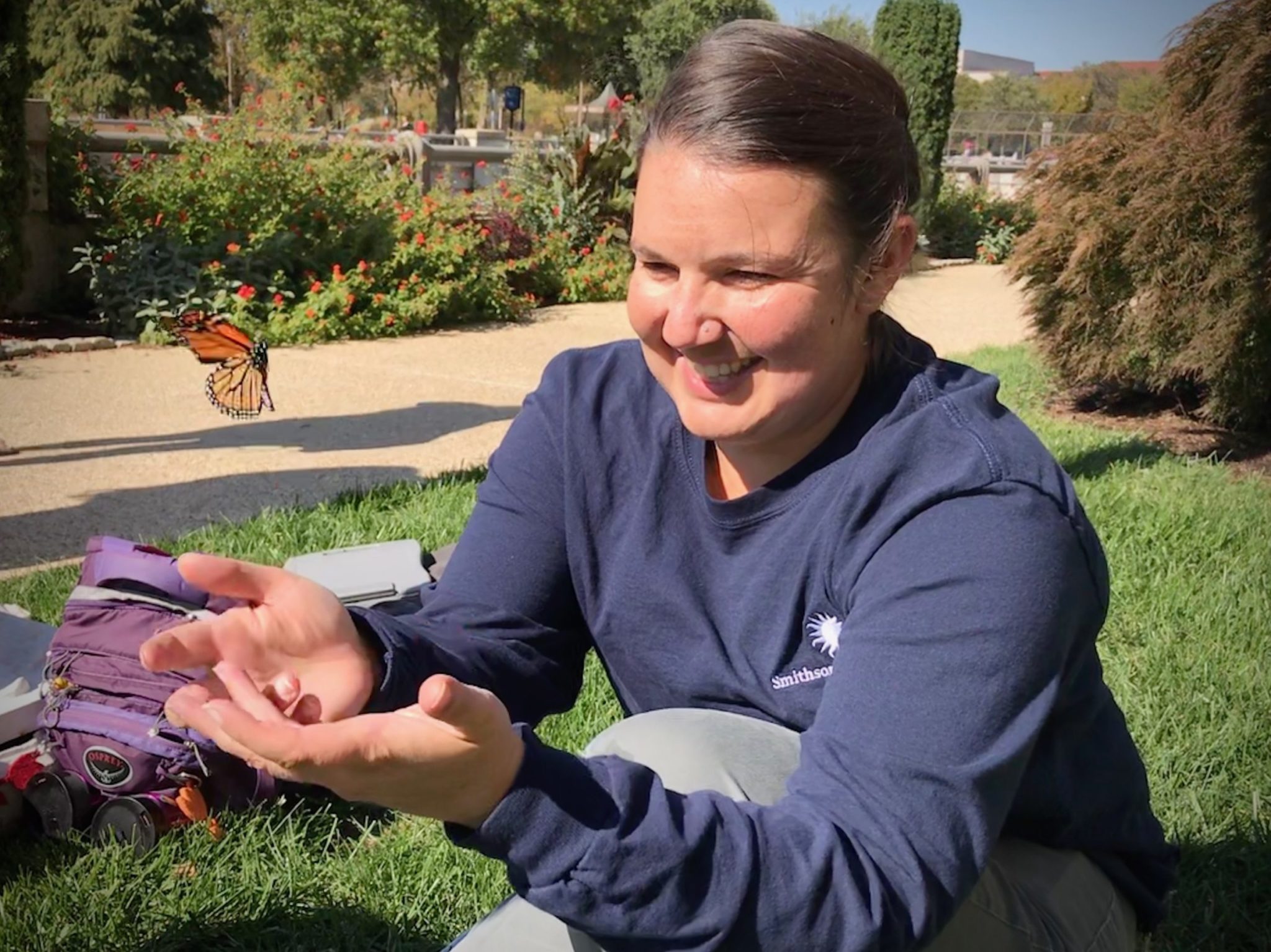 We Captured Monarch Butterflies on the Mall, Tagged Them, and Now They’re Probably on Their Way to Mexico