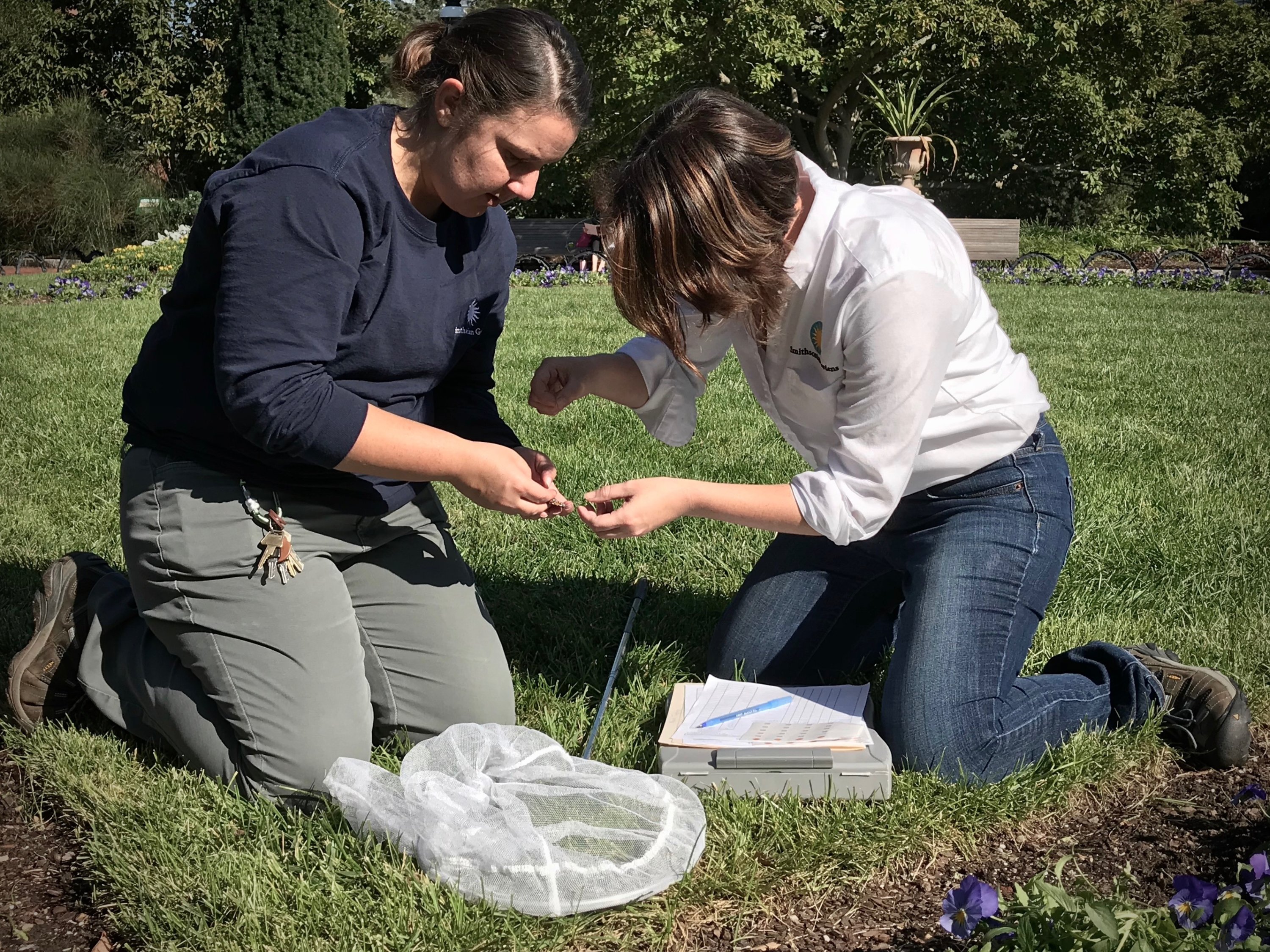 monarch-tagging-5 - Washingtonian
