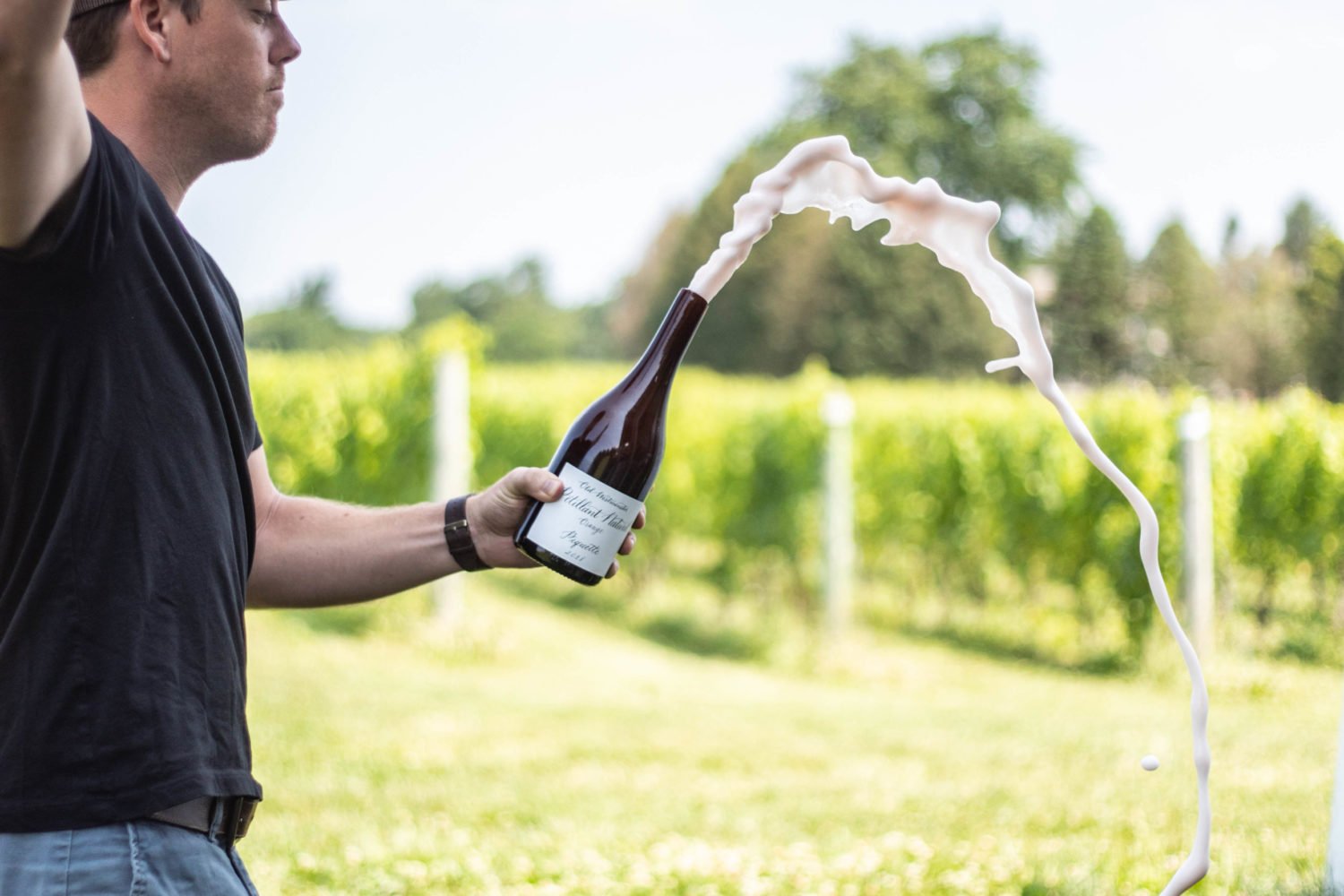 Old Westminster Winery's vigneron Drew Baker opens a bottle of piquette. Photo courtesy of Old Westminster Winery.