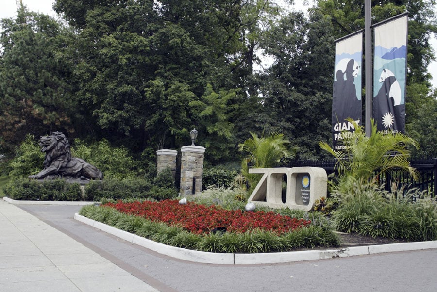 Wayfinding Signs - Washingtonian