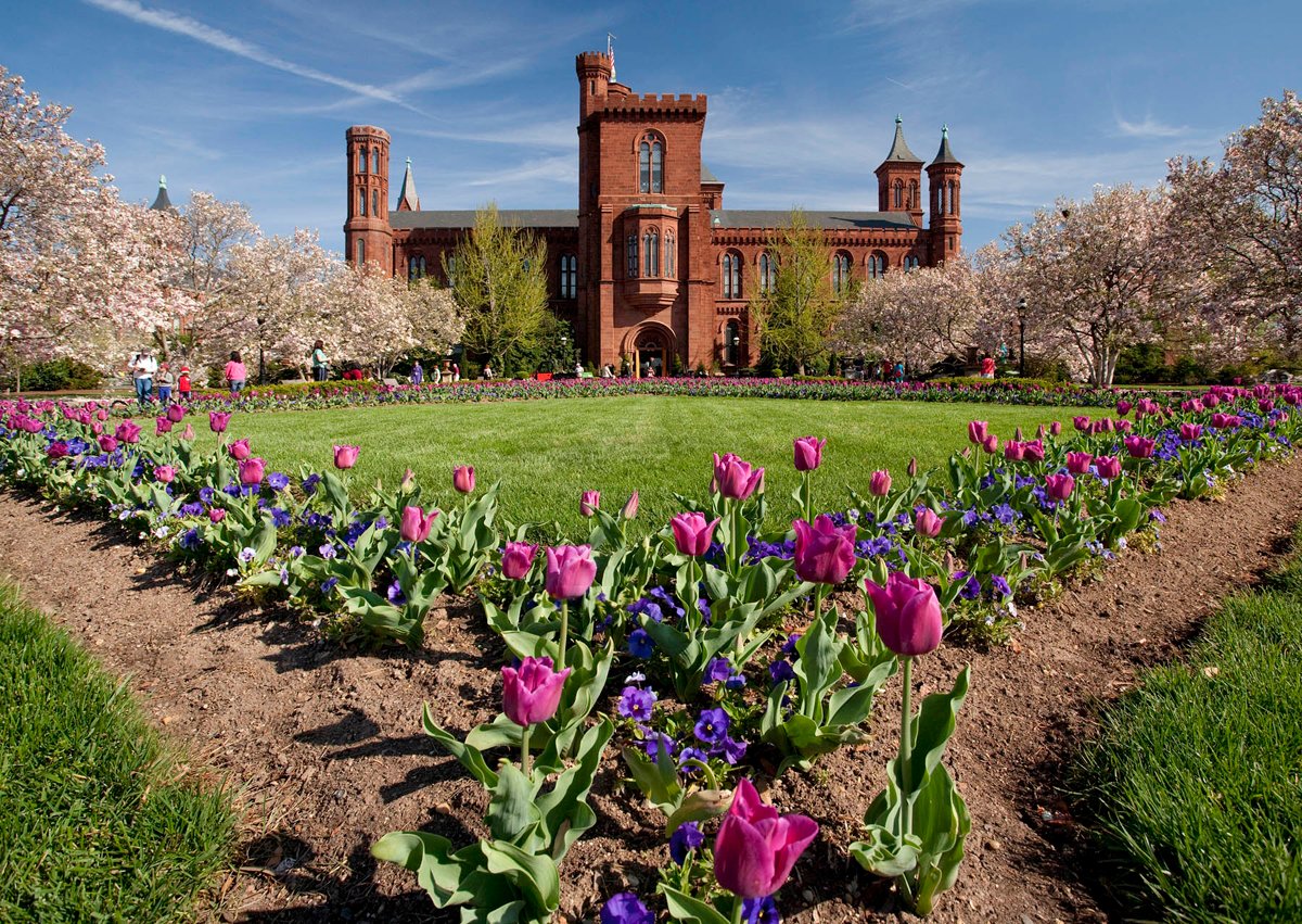 tulips_haupt_garden_4-2-10 - Washingtonian