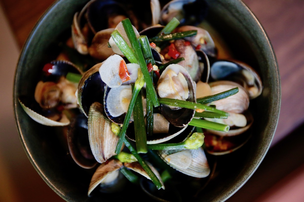 ABCclams - Washingtonian