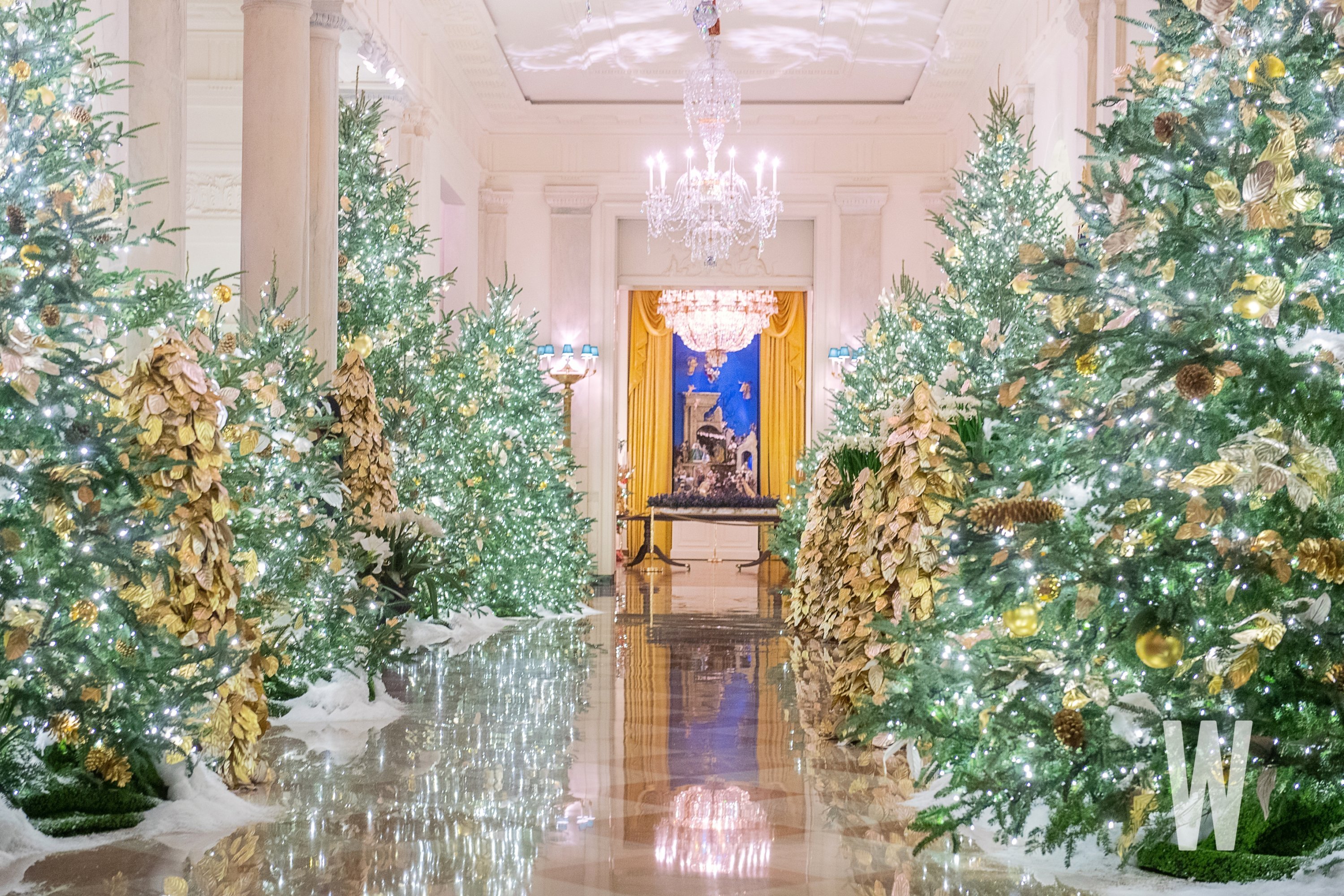 visit the white house at christmas