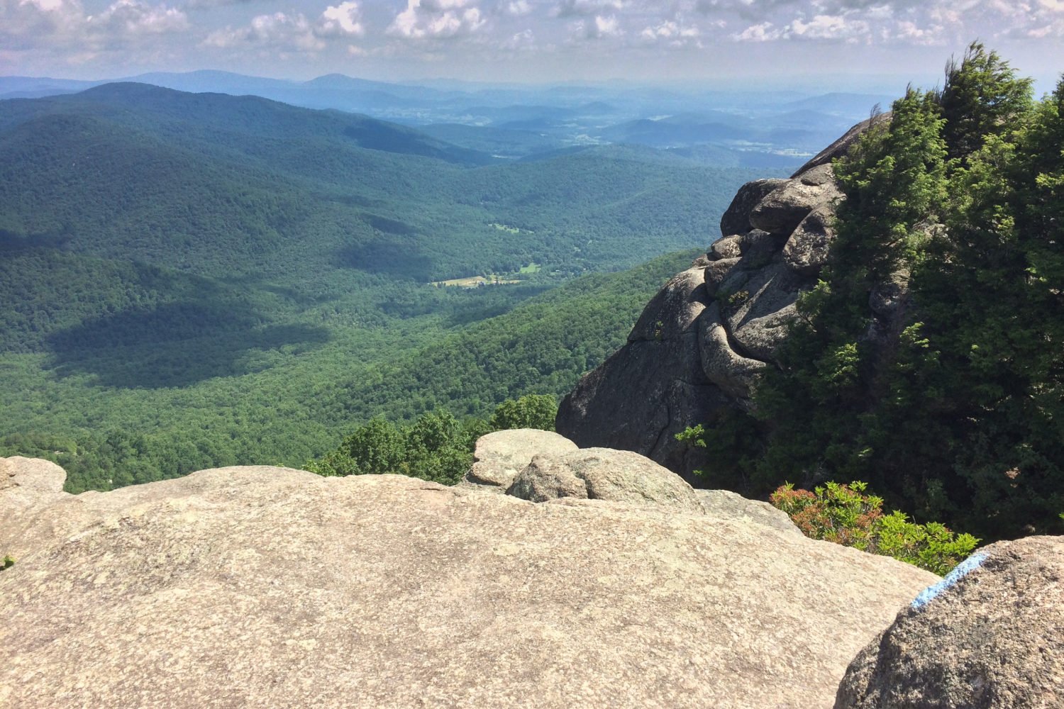 The view from Old Rag Mountain. Photo by Flickr user Larry Borreson.