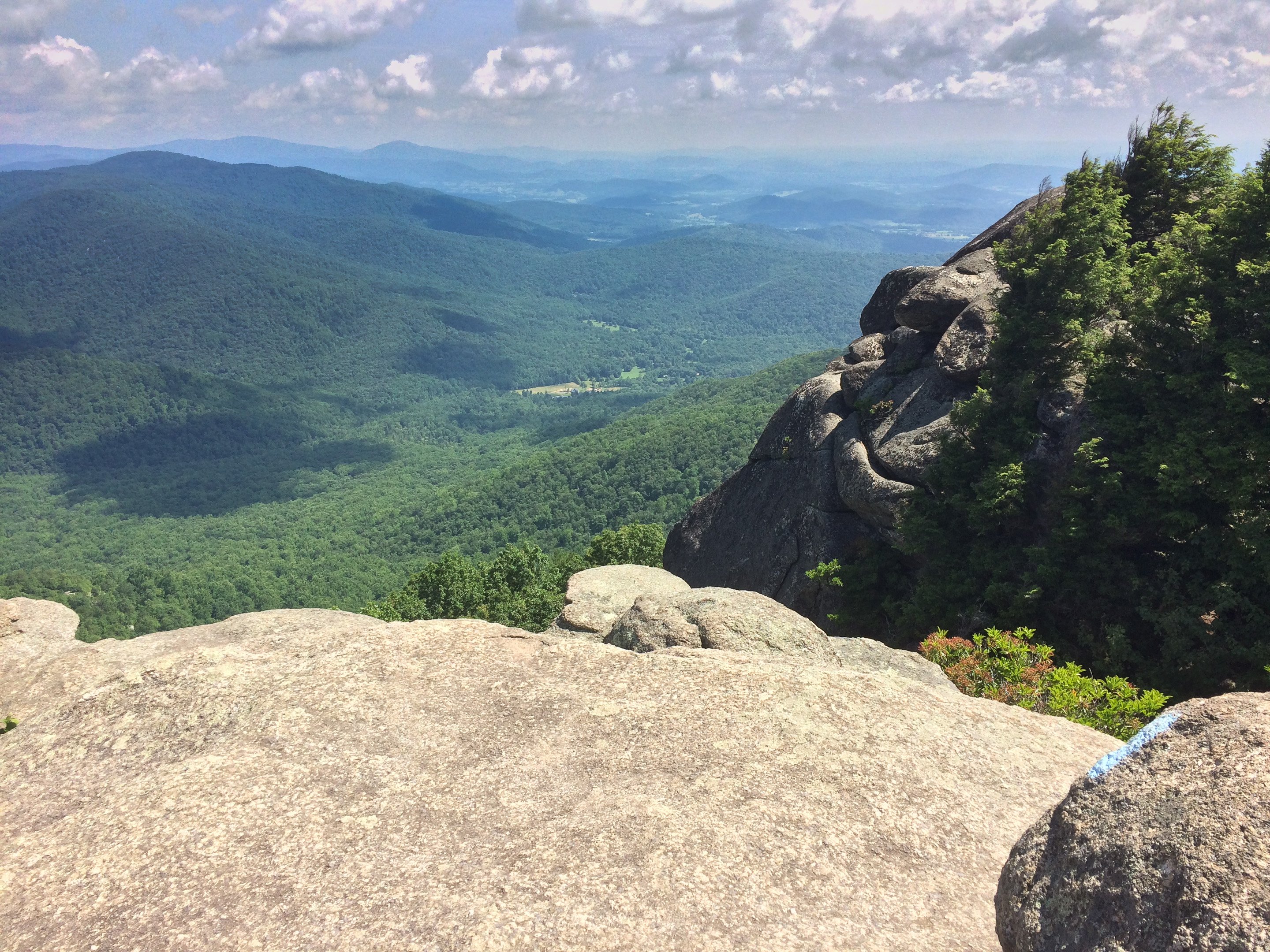 The view from Old Rag Mountain. Photo by Flickr user Larry Borreson.