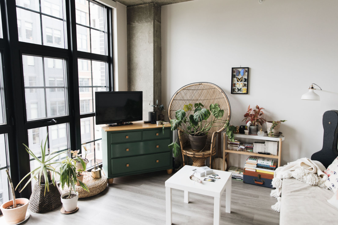 Look Inside My Home: This NoMa Apartment Is Filled With Crystals, Plants, and Floor-to-Ceiling Windows