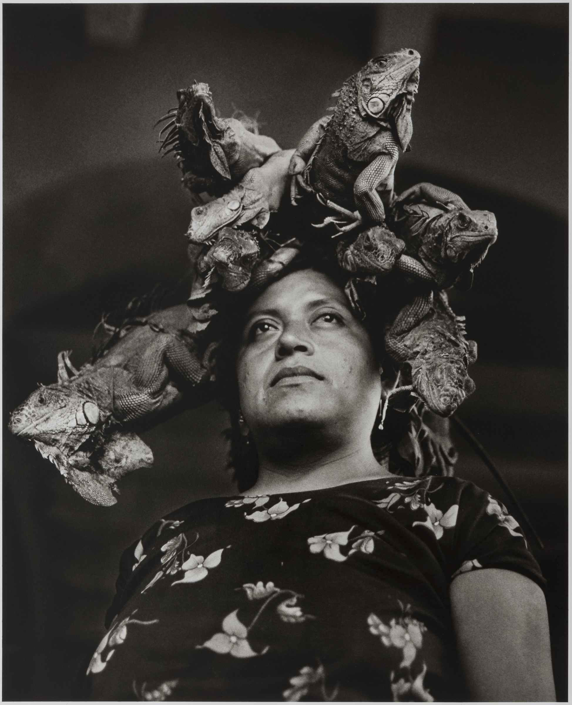 Our Lady of the Iguanas_8x10 at 300 dpi jpg - Washingtonian