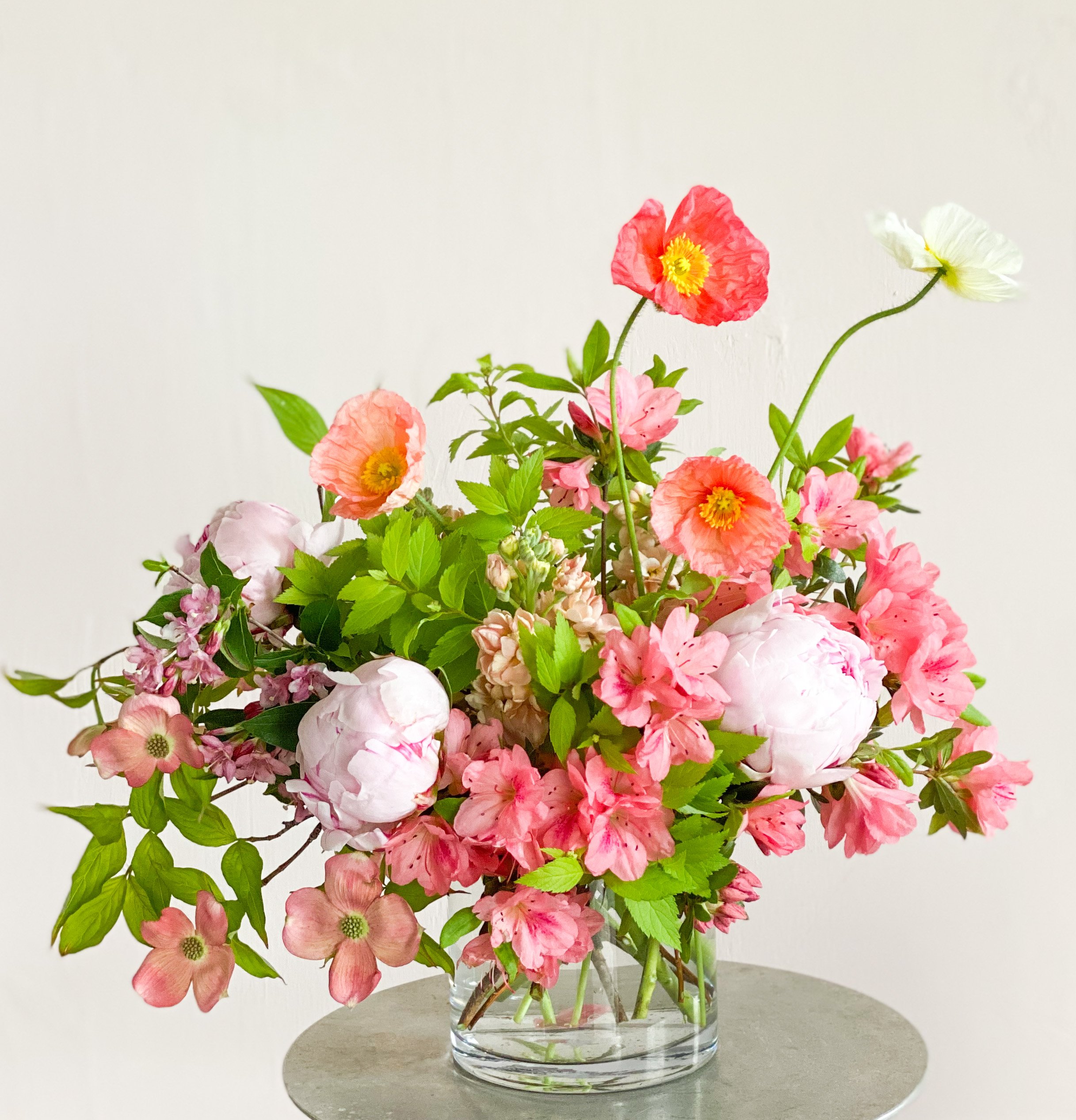 IMG-1906 - Washingtonian