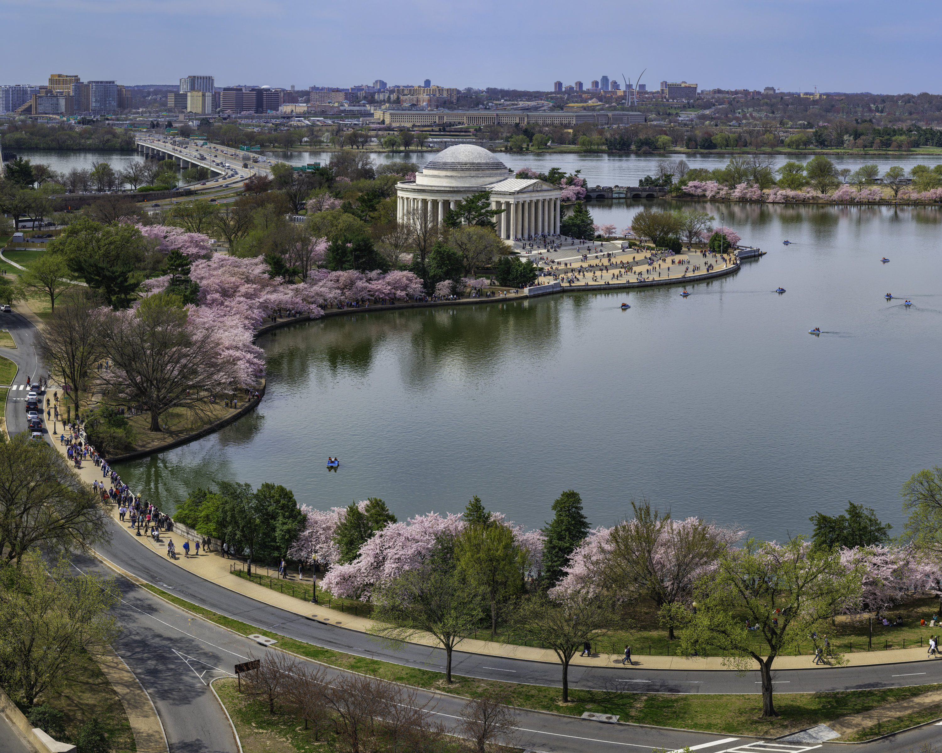 Hanami DC - Crop - Washingtonian