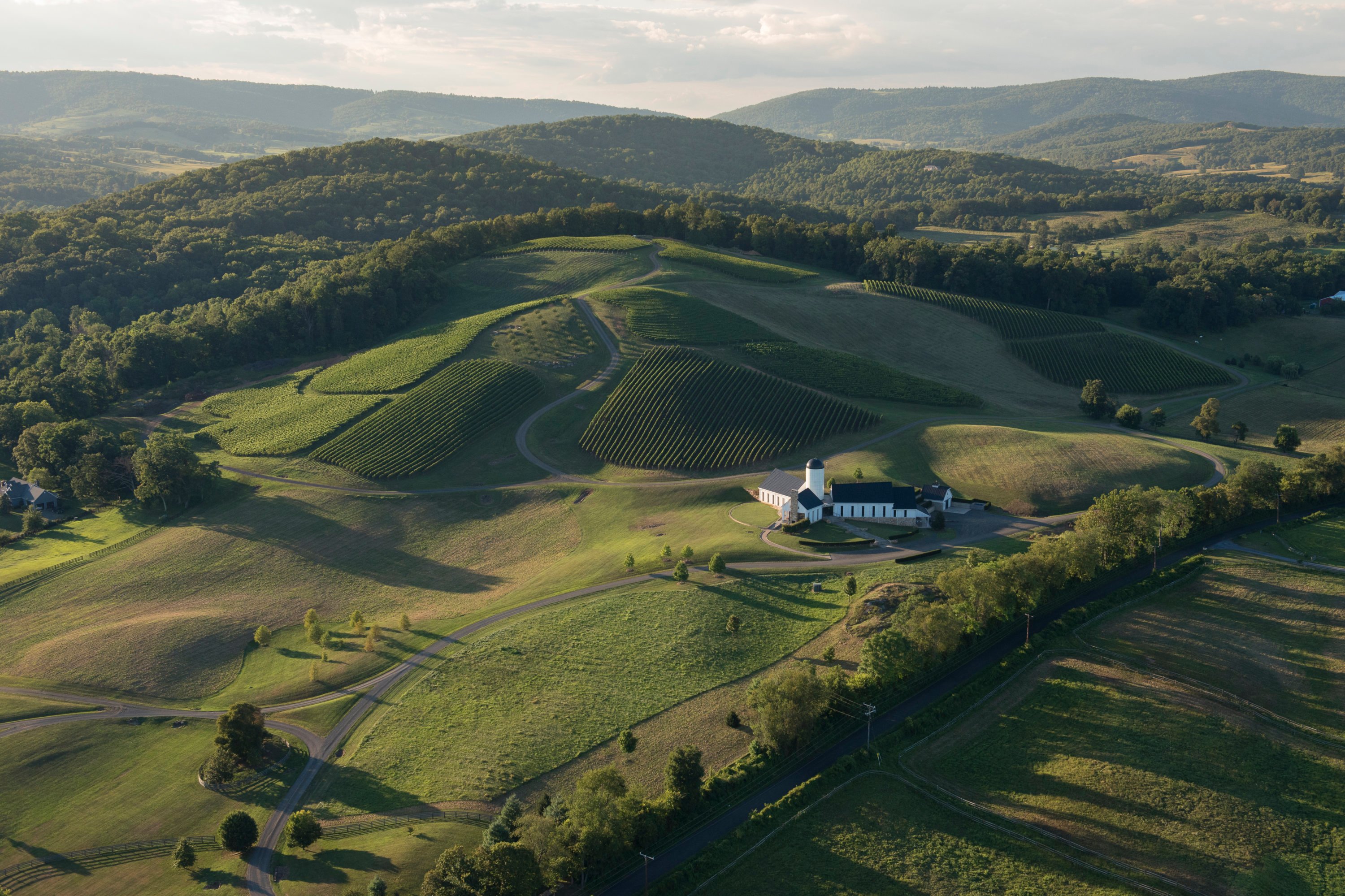RdV Vineyards - Washingtonian