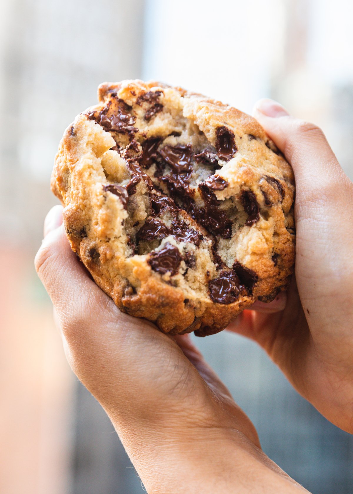 A chocolate chip cookie from Levain Bakery. Photograph by Kate Previte