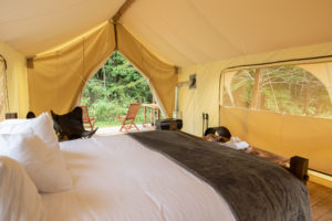 Would You Pay 0 a Night to Camp? You’re in Luck.