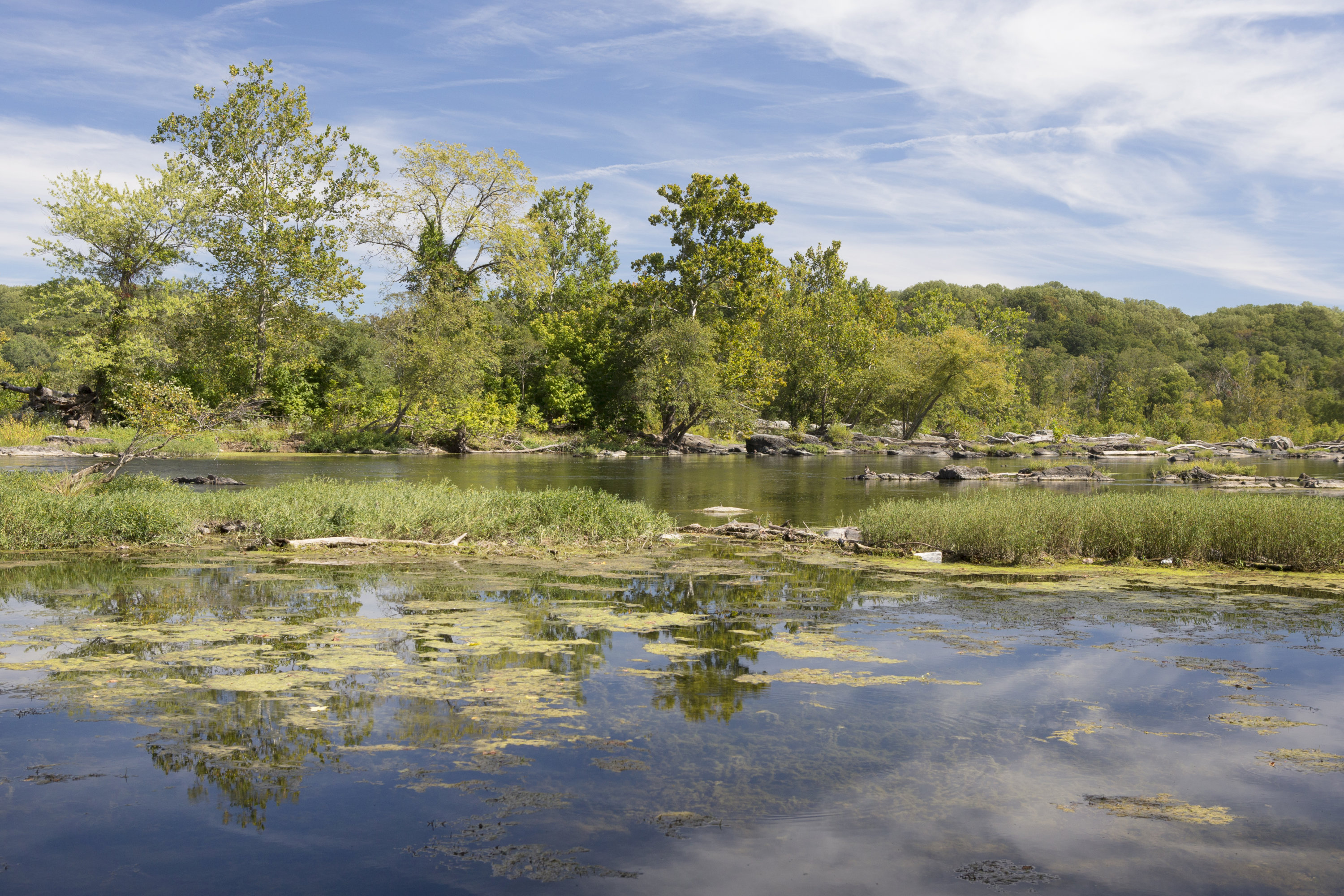 Potomac River in Virginia - Washingtonian