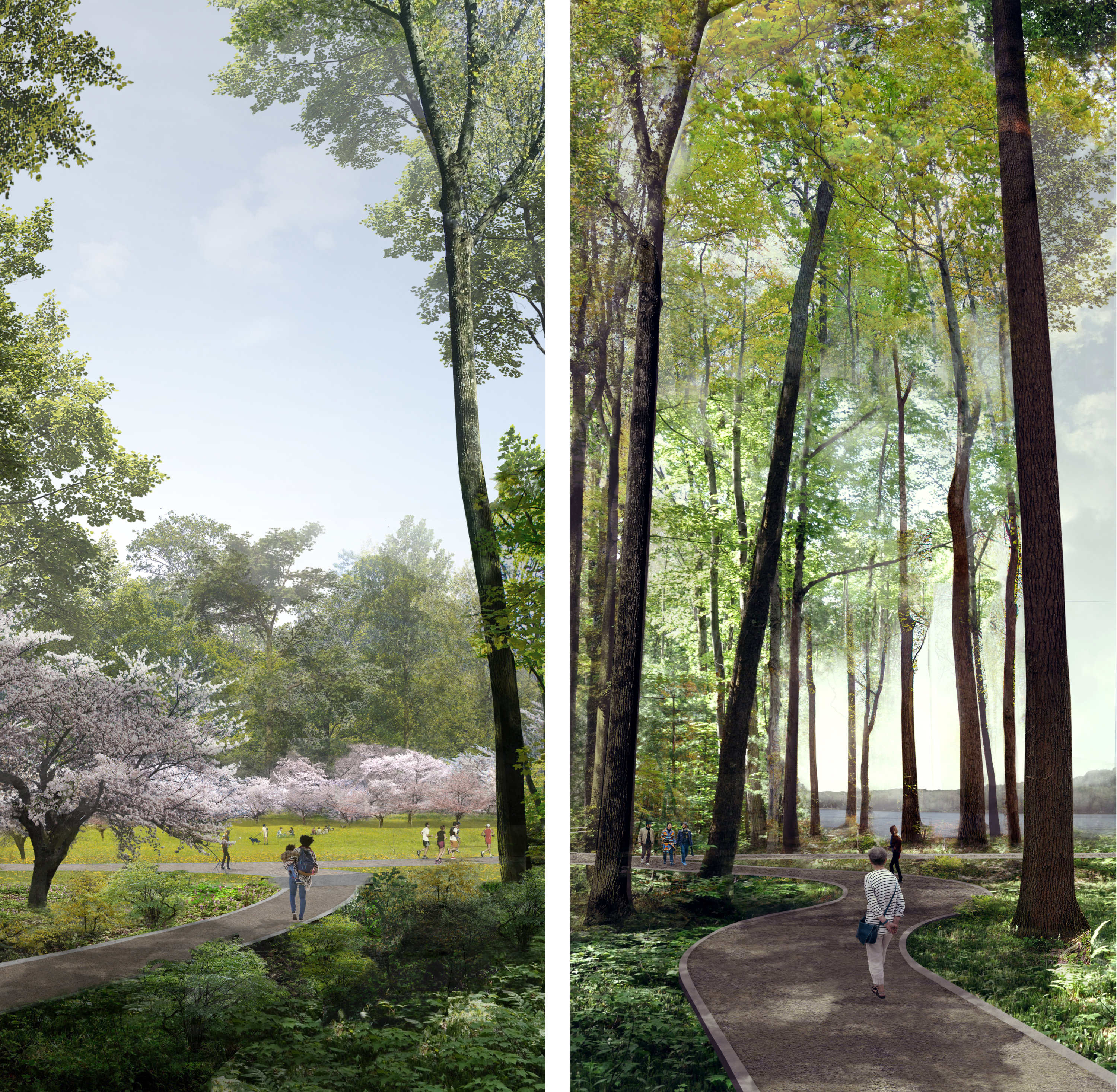 4 GGN Forest_diptych - Washingtonian