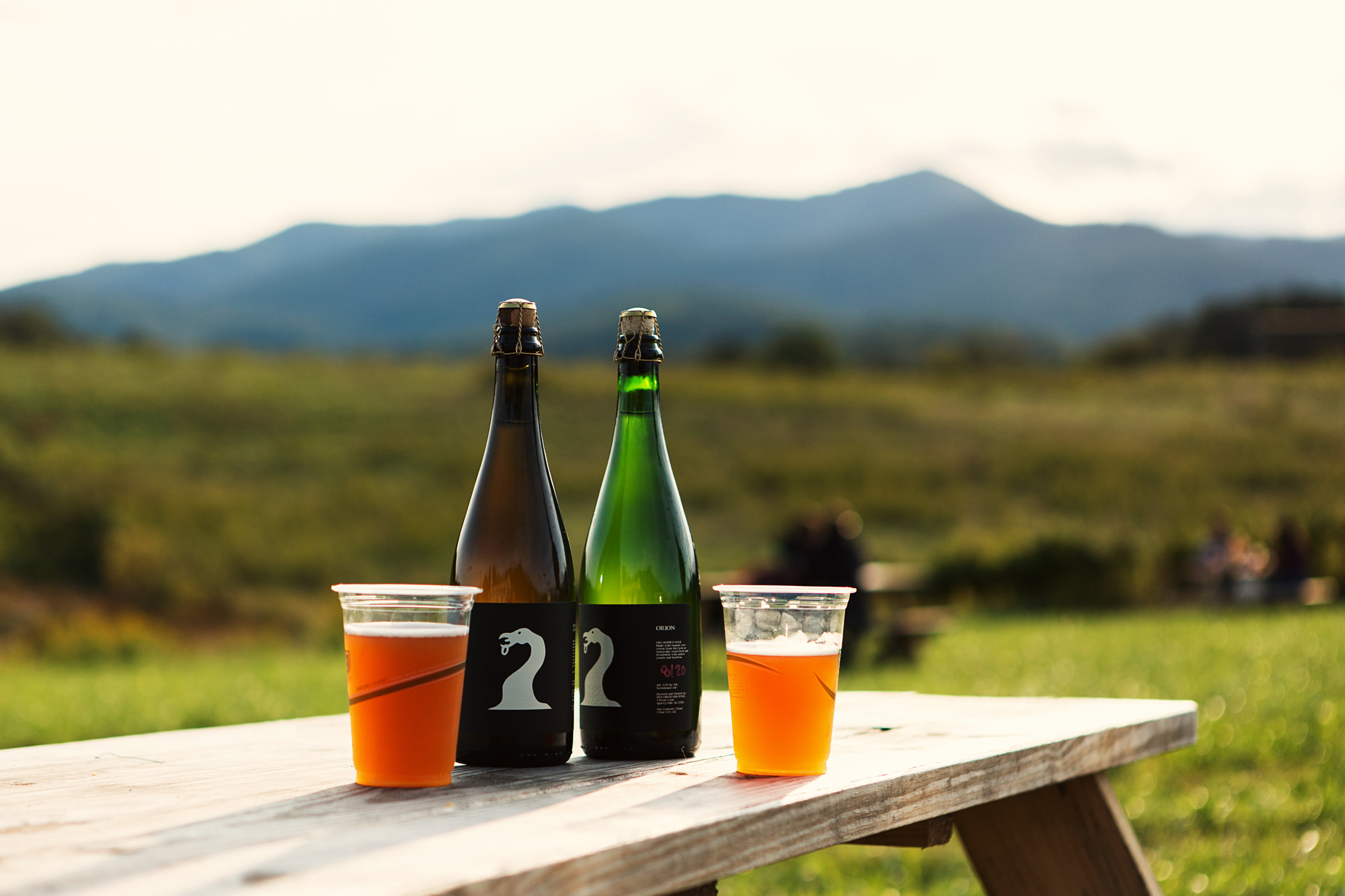 Pen Druid brewery - Washingtonian