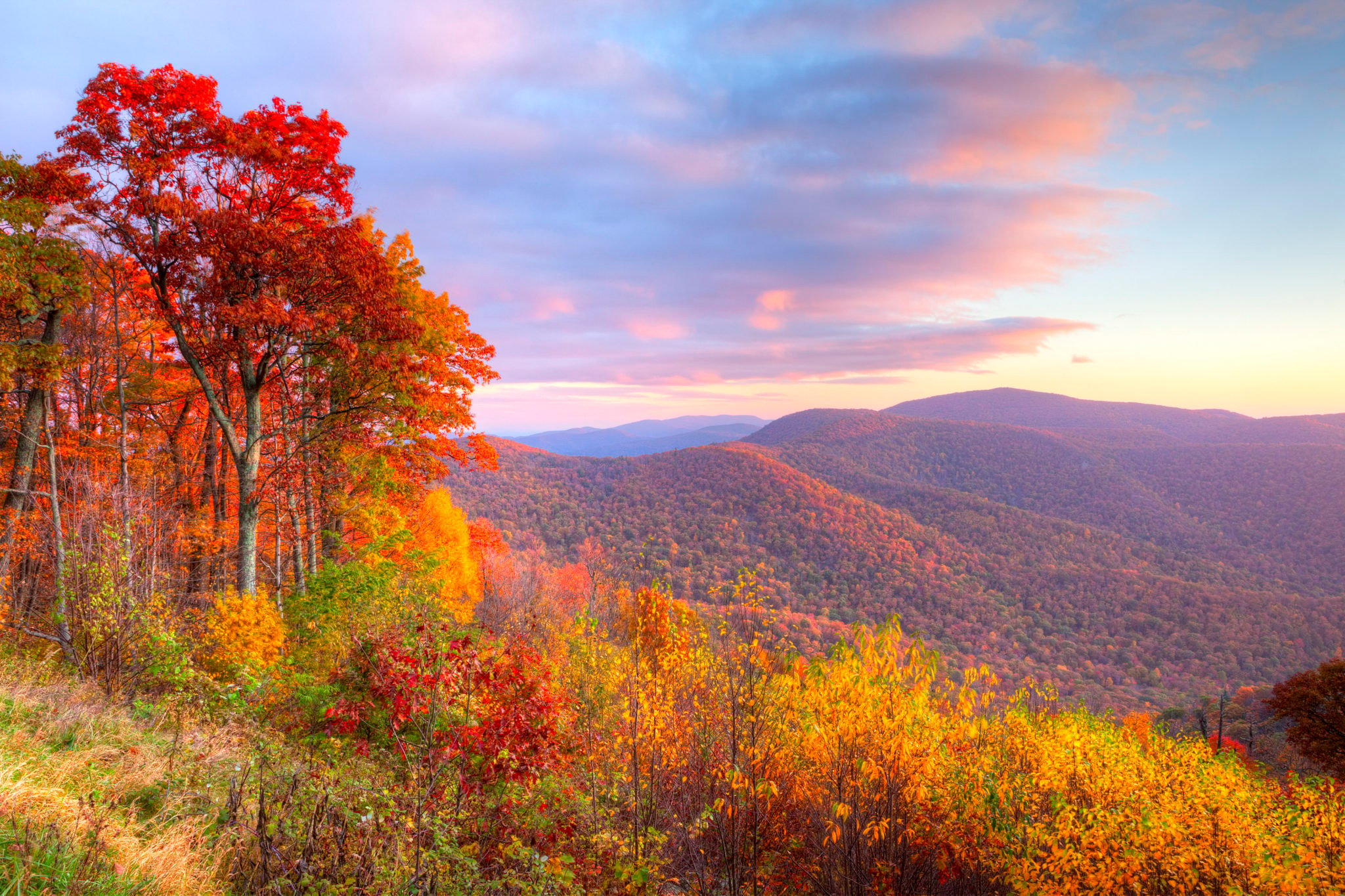 Here’s When Fall Foliage Will Peak Around DC - Washingtonian