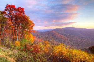 Here’s When Fall Foliage Will Peak Around DC