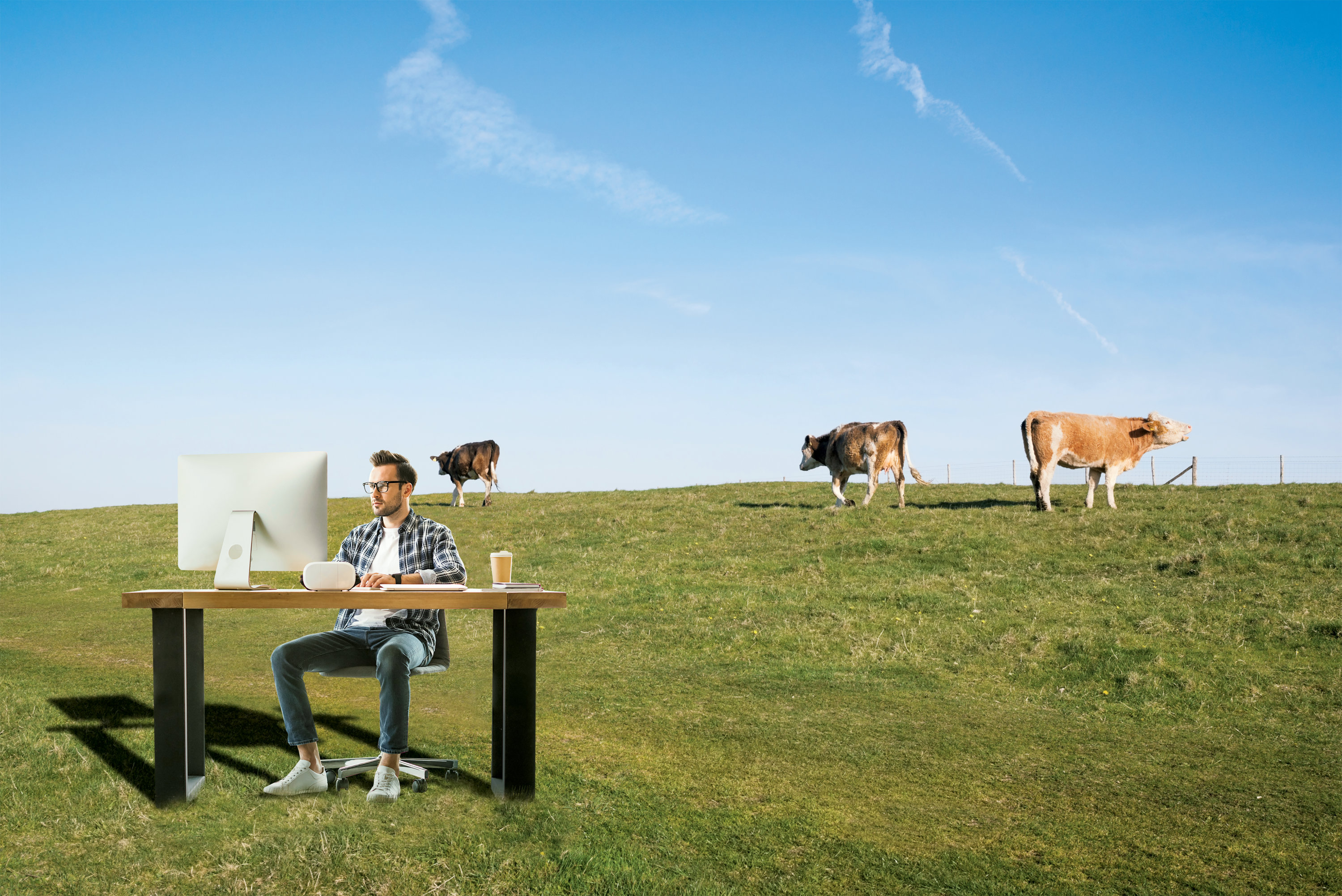 Remote Working - Washingtonian