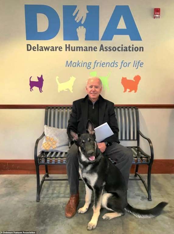 Photo of Joe Biden and Major via the the Delaware Humane Association on Facebook