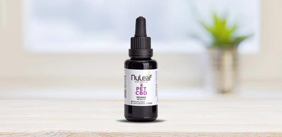 Finest CBD Oil for Cats – Prime Manufacturers of 2021