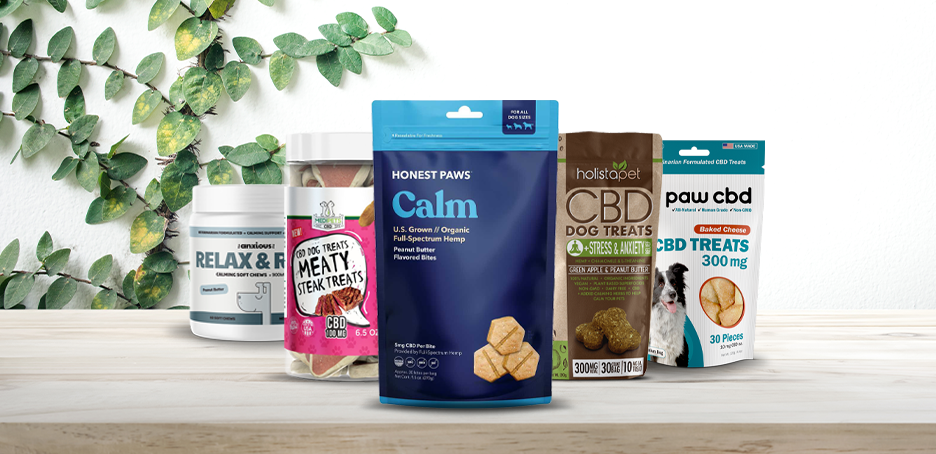 Best CBD Dog Treats – Top Brands of 2021