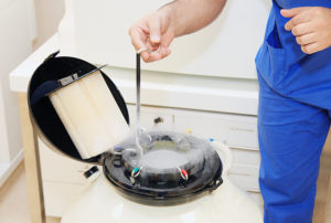 More People Are Freezing Their Eggs During the Pandemic