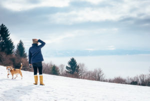 Outdoor Fun This Winter: Hikes, Igloos, Ice Skating, and More Around DC