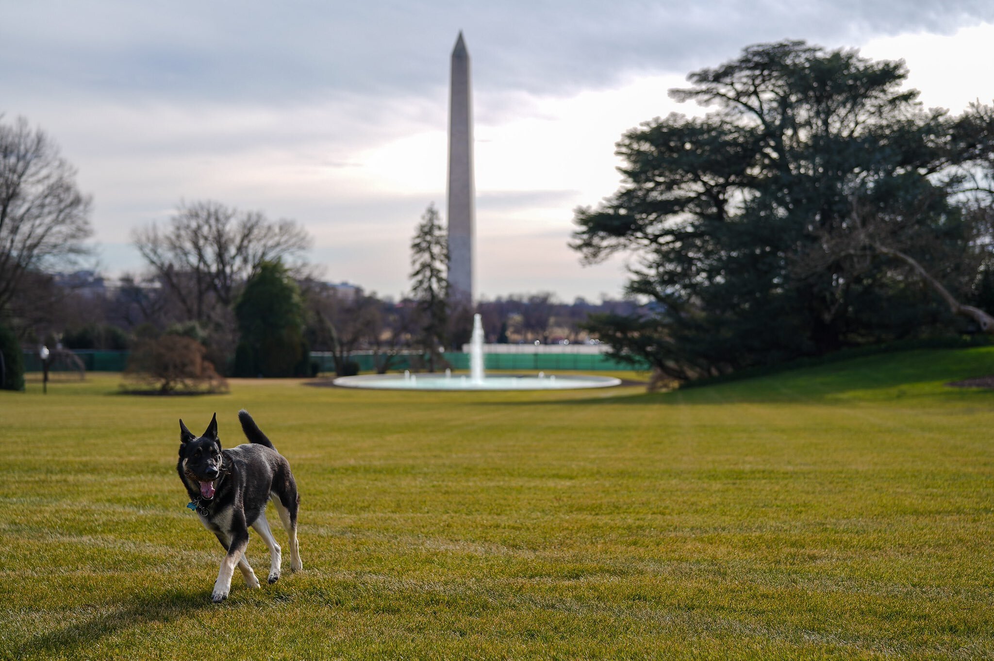 major biden white house washington monument - Washingtonian