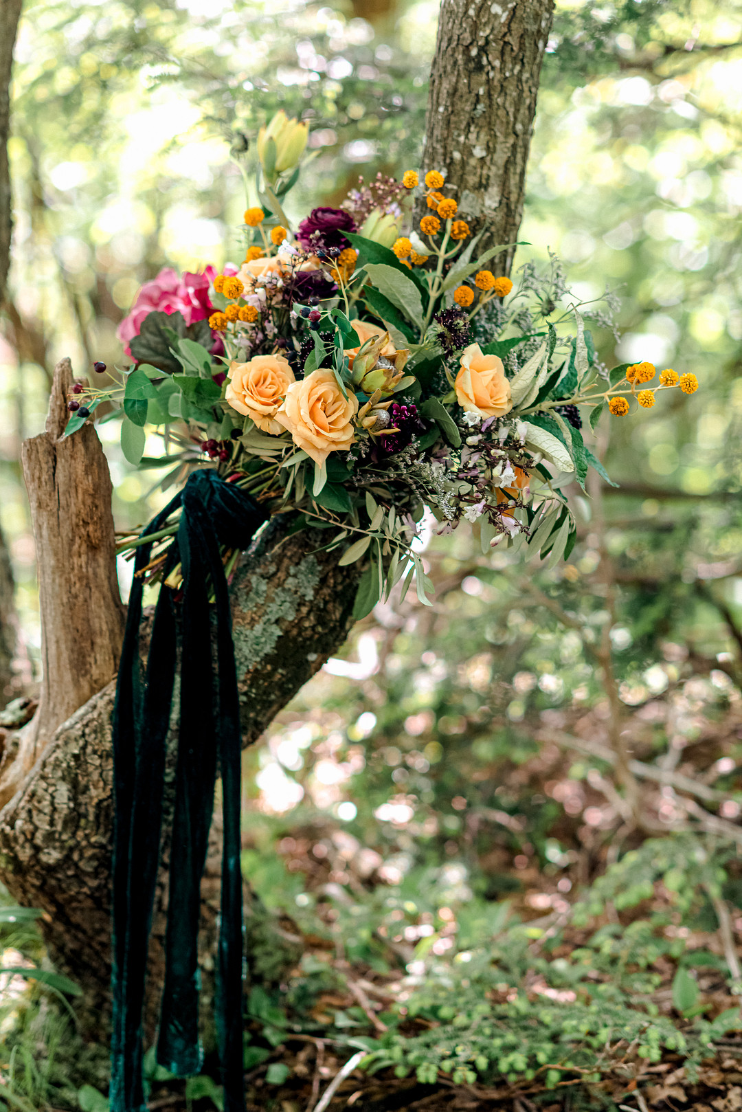 Boho Mountain Elopement in Shenandoah National Park_1001 Angles Photography_Shenandoah National Park Adventure Elopement-2_low