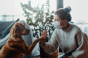 How to Prepare Your Dogs and Cats for Your Return to the Office