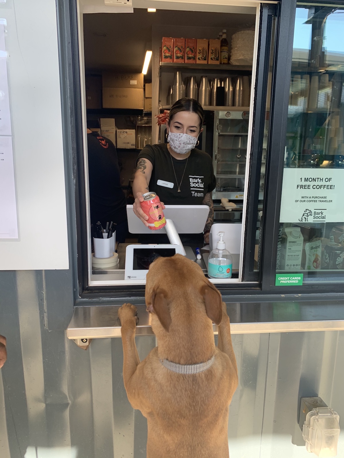 BarkSocial2 - Washingtonian