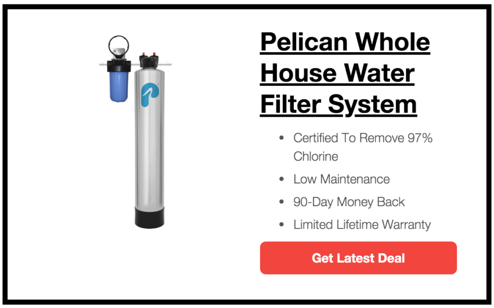 5 Best Whole House Water Filter Systems of 2021 Washingtonian