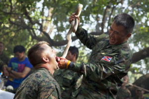 PETA Asks Marines to Stop Drinking Cobra Blood