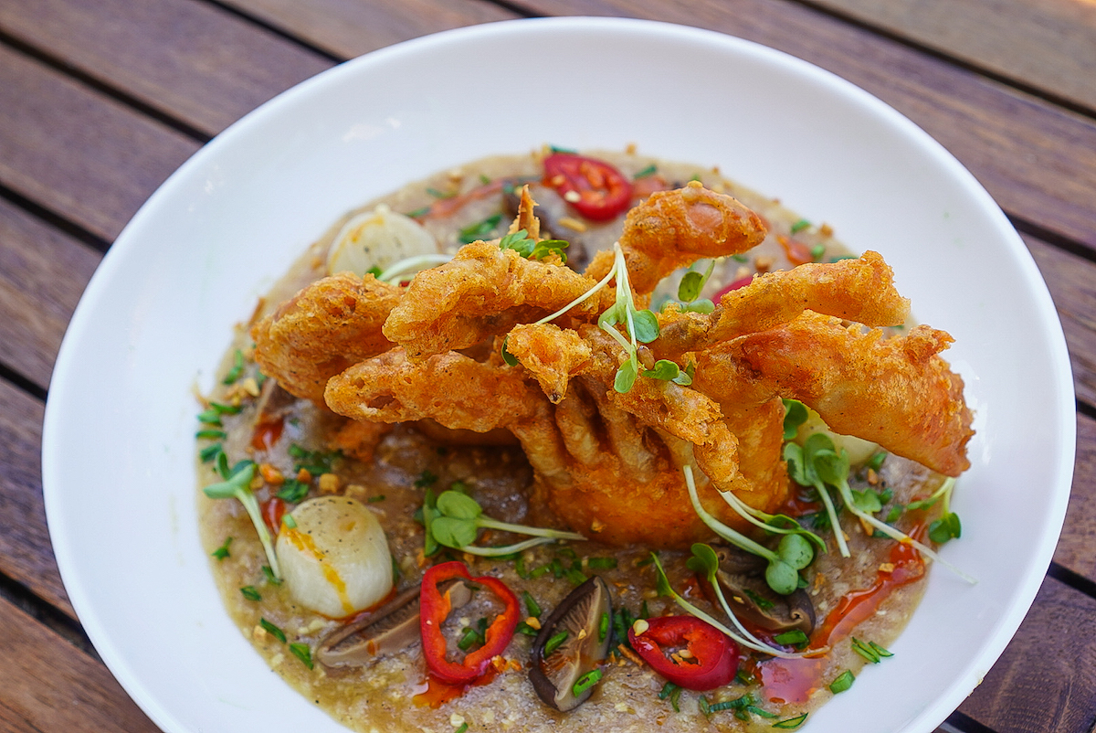Anju Softshell Juk - Washingtonian
