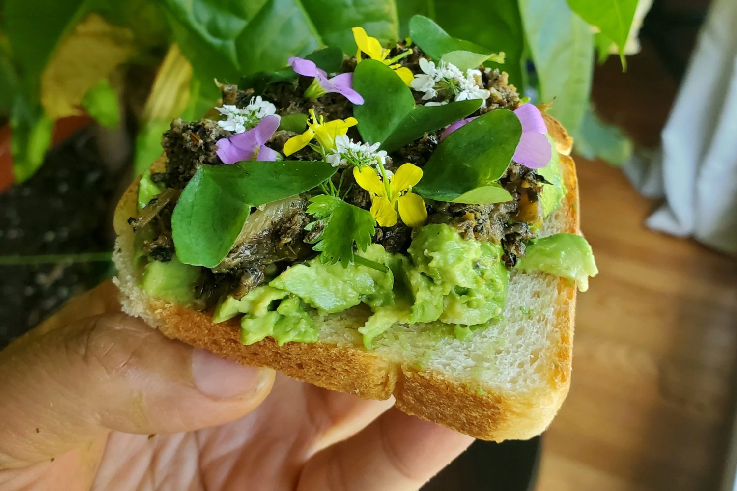 Avocado toast. Photo by Seng Luangrath.